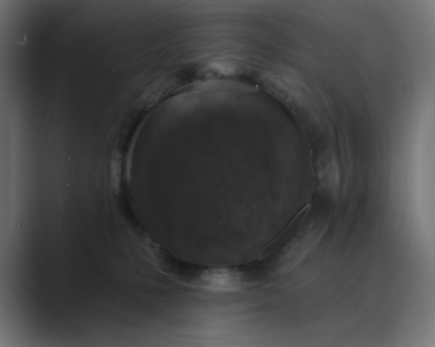 X0000089440231200706291431