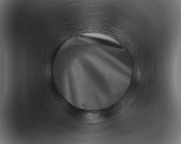 X0000089440232200706291431