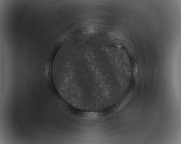 X0000089440233200706291431