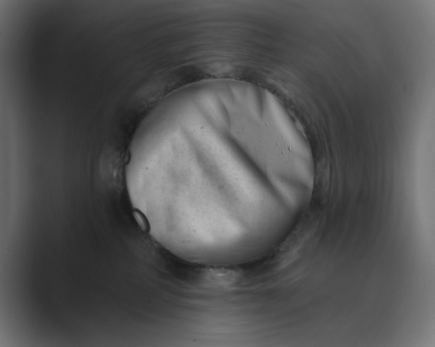 X0000089440234200706291431