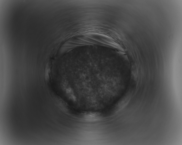 X0000089440235200706291431