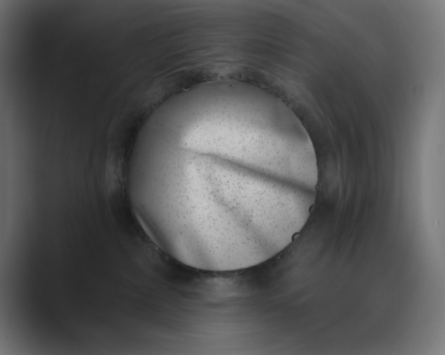 X0000089440236200706291431