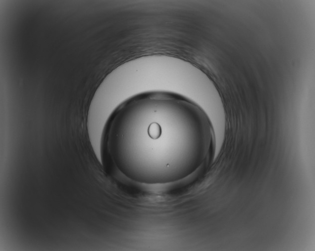 X0000089440237200706291430