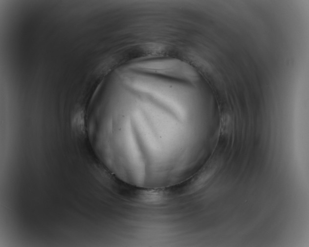 X0000089440238200706291430