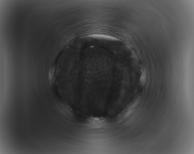 X0000089440239200706291430