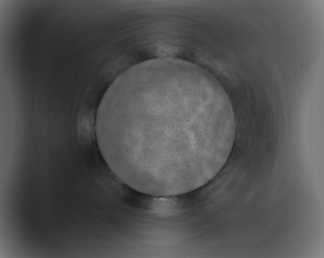 X0000089440240200706291430