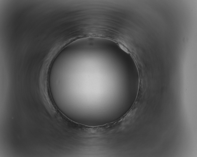 X0000089440241200706291430