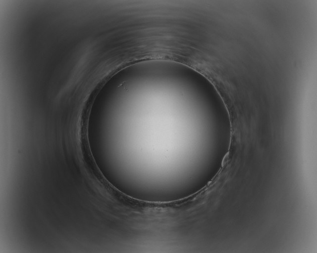 X0000089440242200706291430