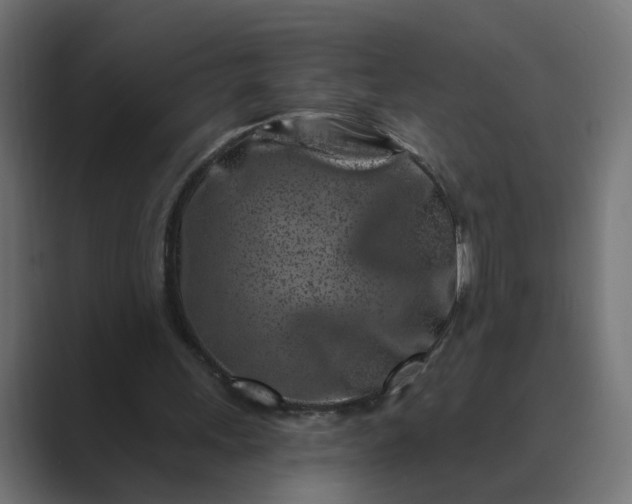 X0000089440243200706291430