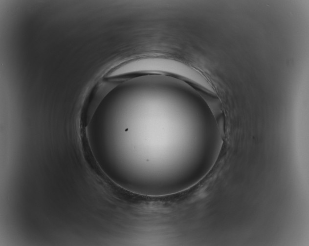 X0000089440244200706291430