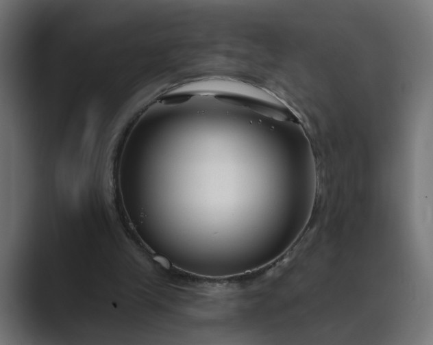 X0000089440245200706291430