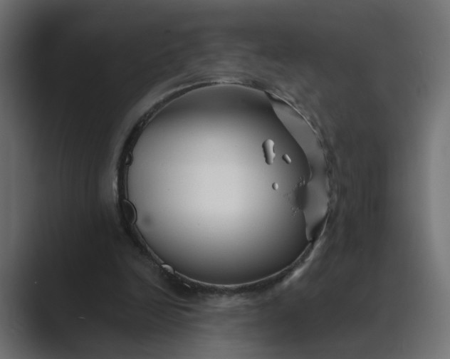 X0000089440246200706291430