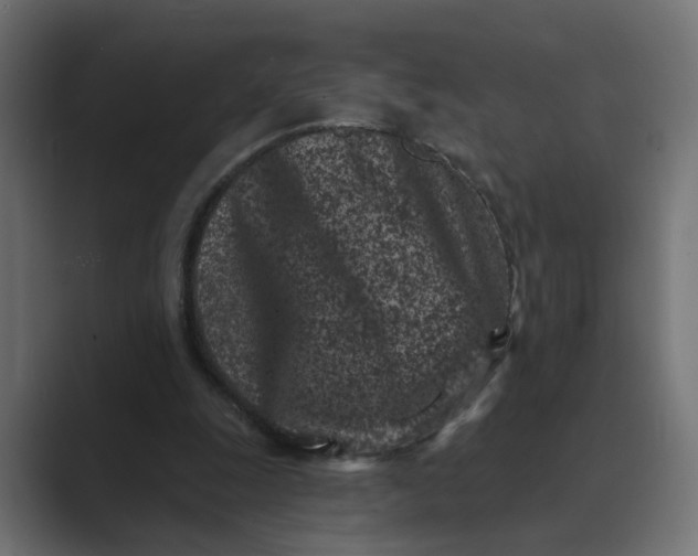 X0000089440247200706291430