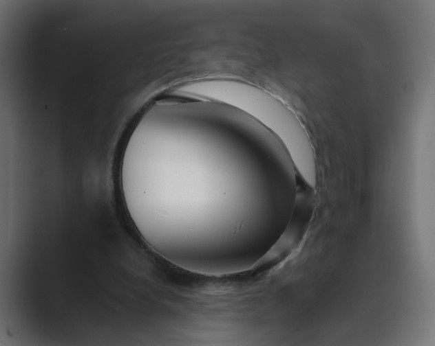 X0000089440248200706291430