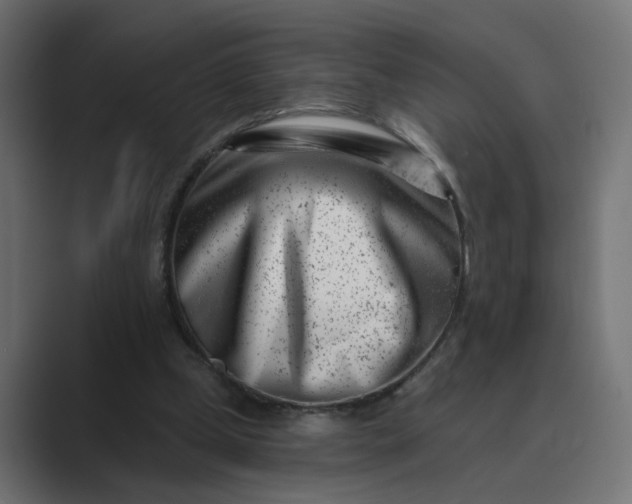 X0000089440249200706291430