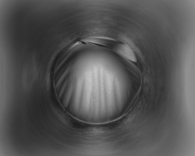 X0000089440250200706291430