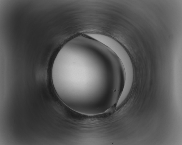 X0000089440252200706291430