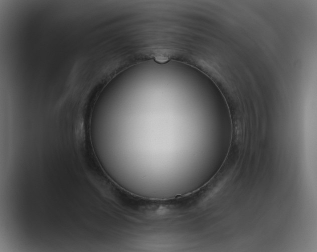 X0000089440254200706291430