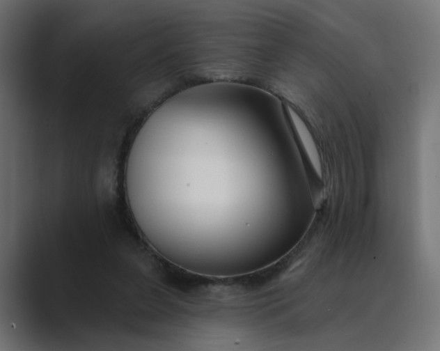 X0000089440255200706291430