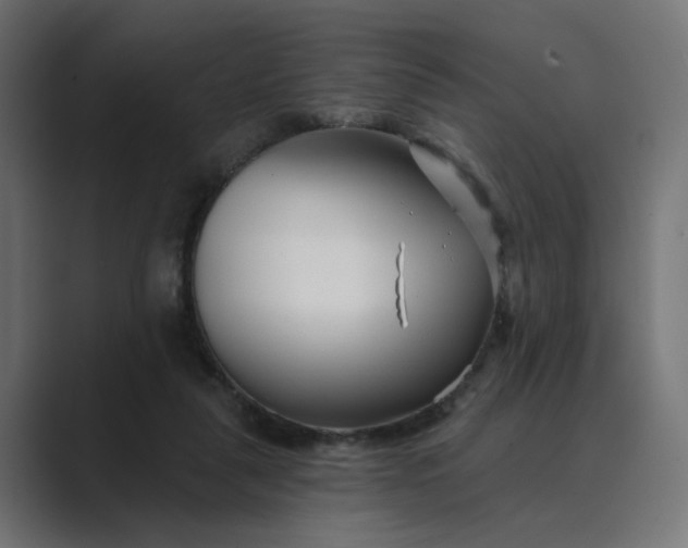 X0000089440259200706291430