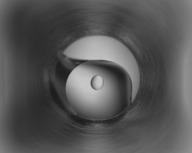 X0000089440260200706291430