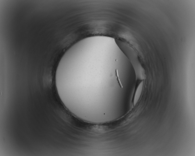 X0000089440261200706291430