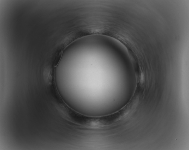 X0000089440264200706291430