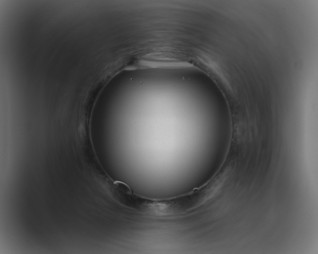 X0000089440265200706291430