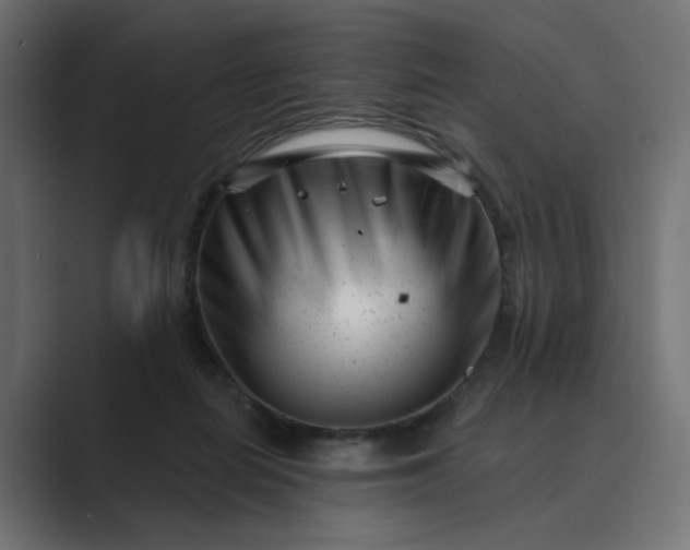 X0000089440266200706291430