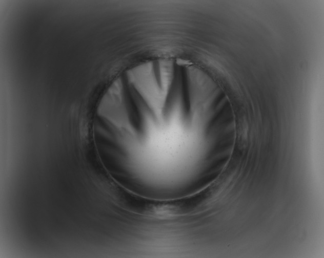 X0000089440268200706291430