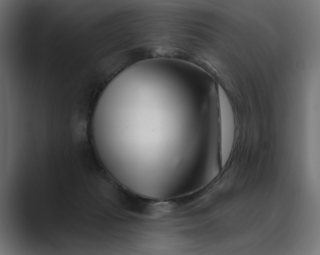 X0000089440269200706291430