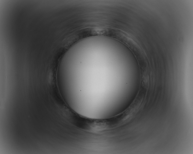 X0000089440270200706291430