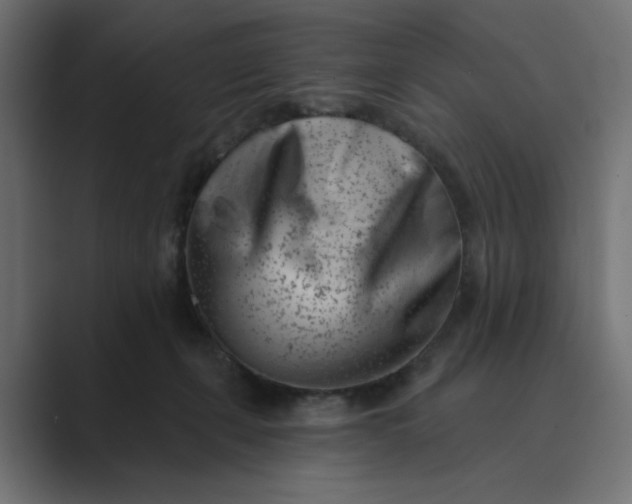 X0000089440271200706291430