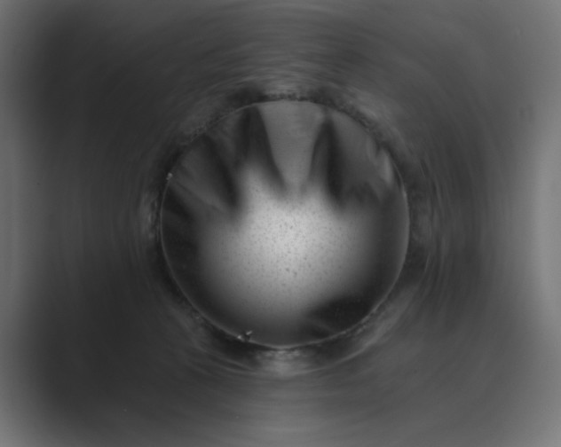 X0000089440273200706291430