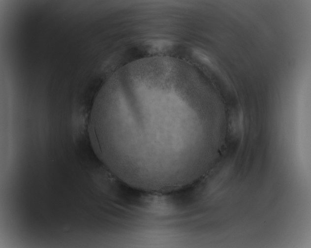 X0000089440276200706291430