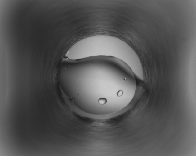 X0000089440280200706291430