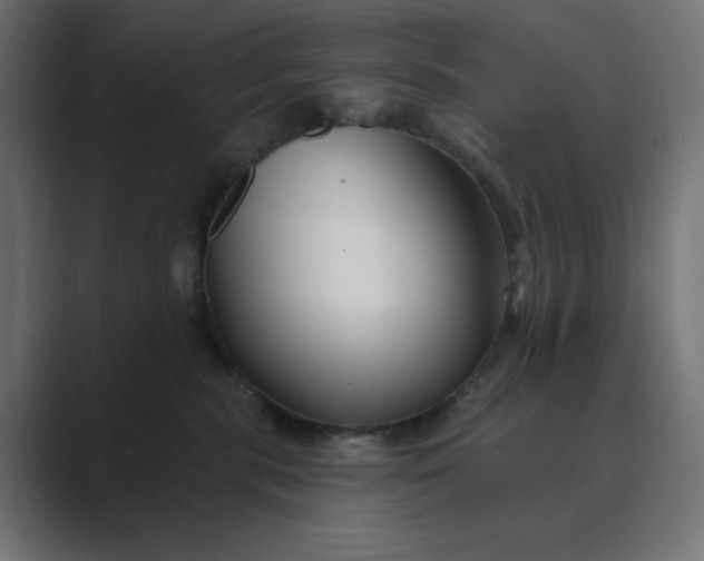 X0000089440283200706291430