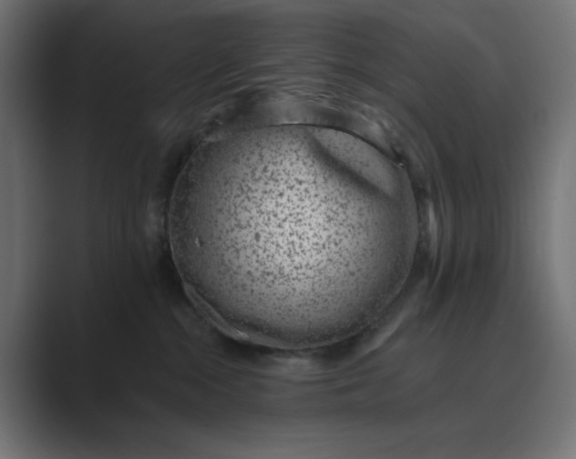 X0000089440284200706291430