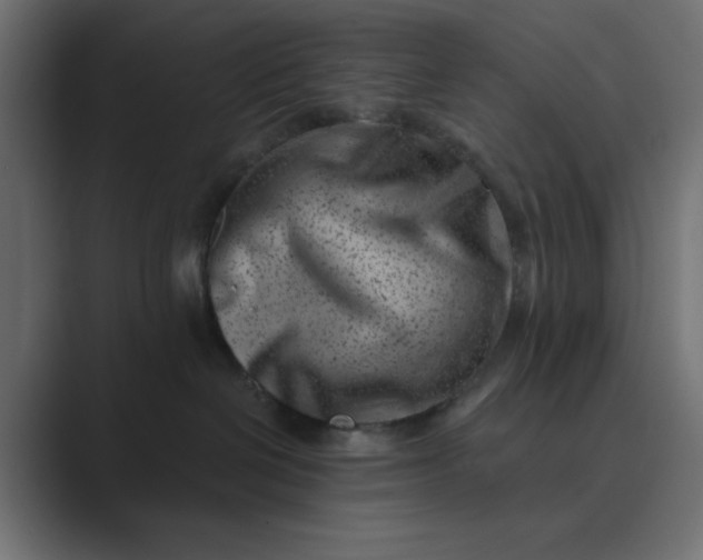 X0000089440286200706291430