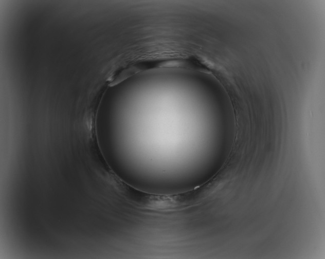 X0000089440288200706291430