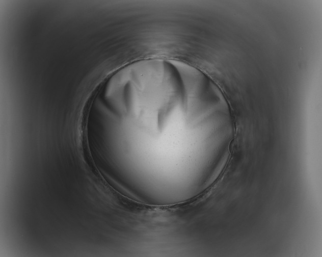 X0000089440290200706291430