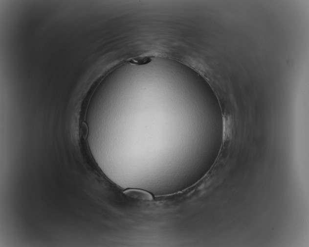 X0000089440291200706291430