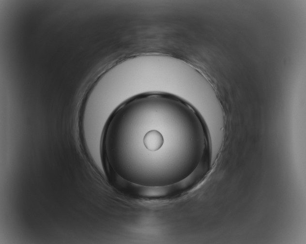 X0000089440293200706291430