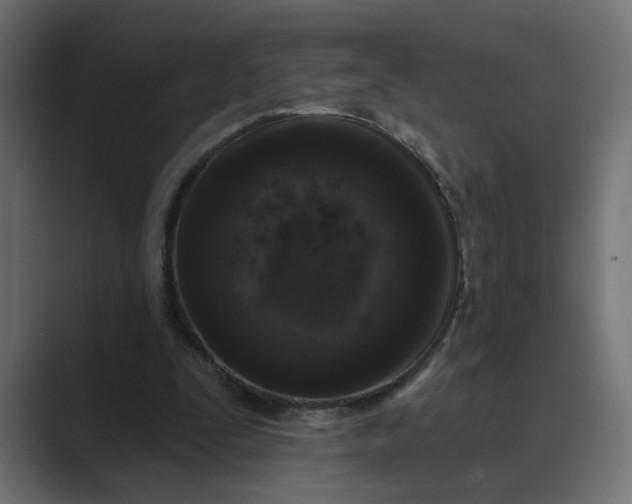 X0000089440295200706291430