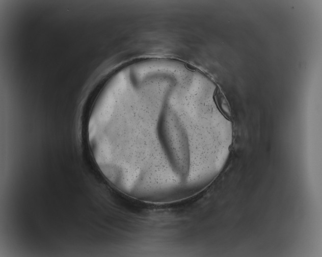 X0000089440296200706291430