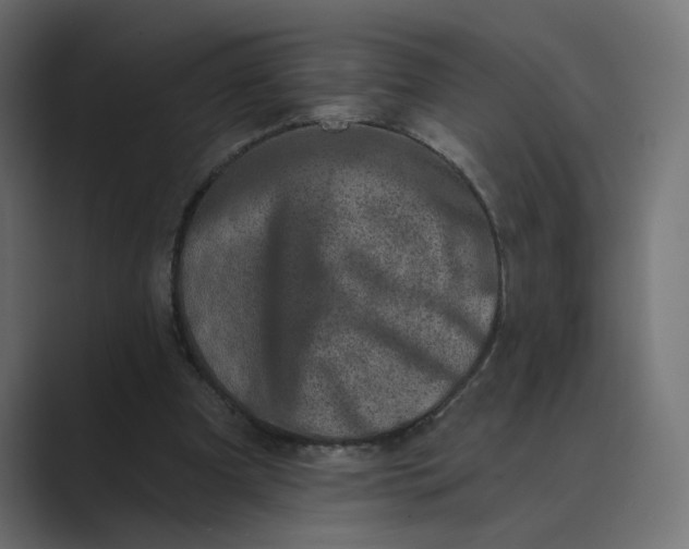 X0000089440297200706291430