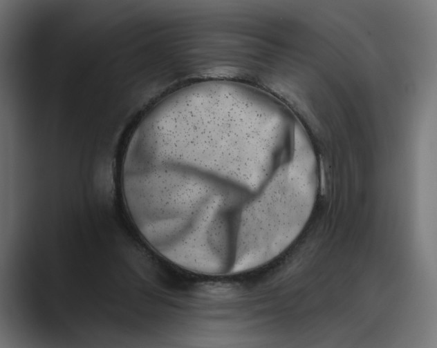 X0000089440300200706291430