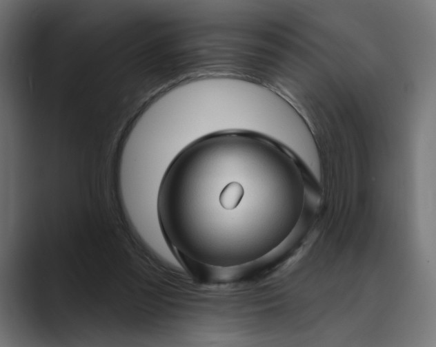 X0000089440301200706291430