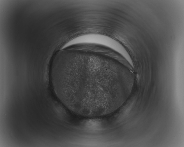 X0000089440303200706291430