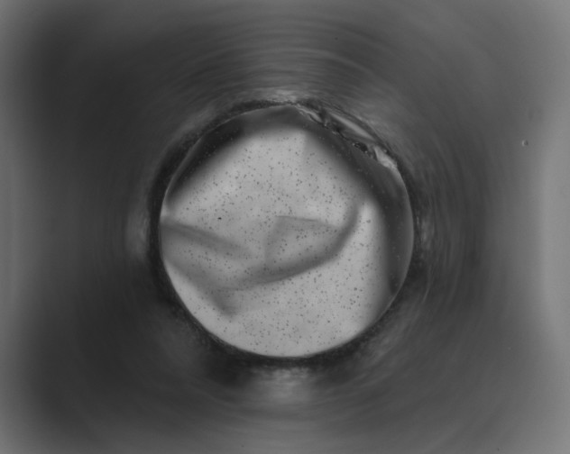 X0000089440304200706291430